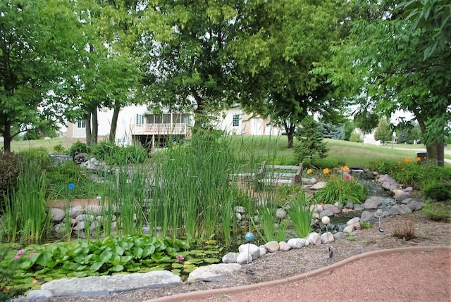 view of yard featuring a wooden deck