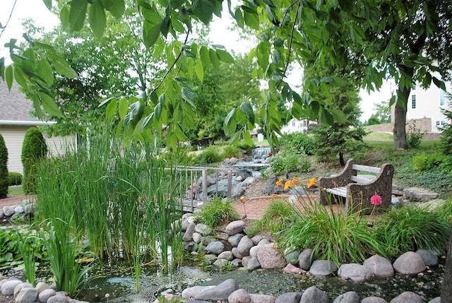 view of yard with a garden pond