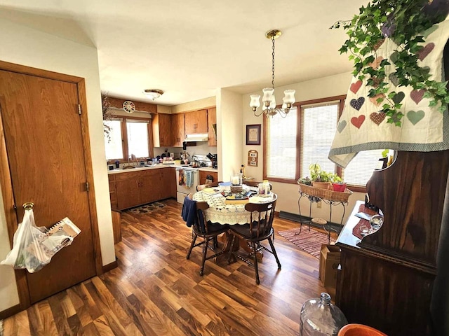 dining room featuring dark wood-type flooring, a chandelier, and baseboards