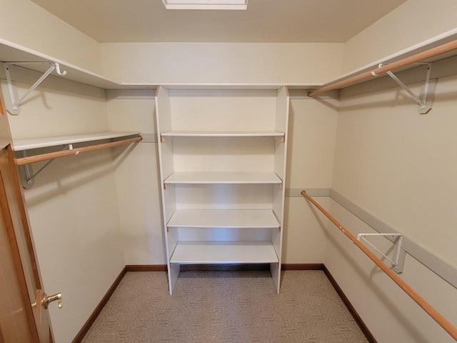 spacious closet with carpet flooring