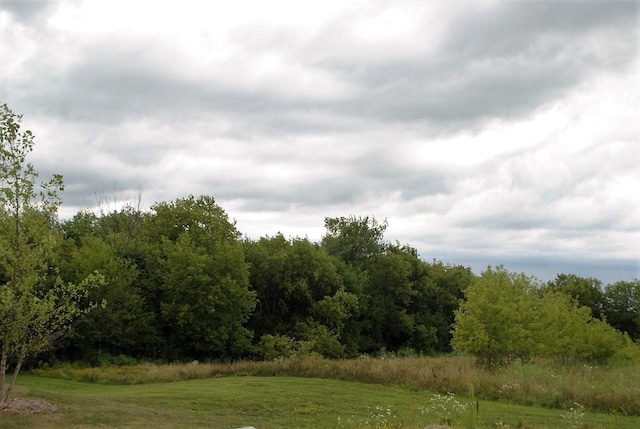 view of nature featuring a wooded view