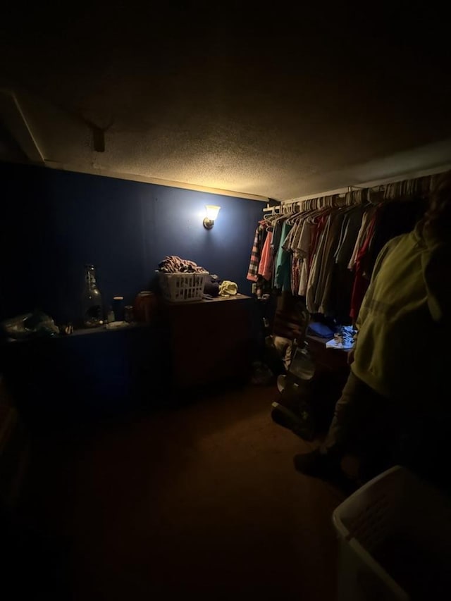 spacious closet featuring carpet floors