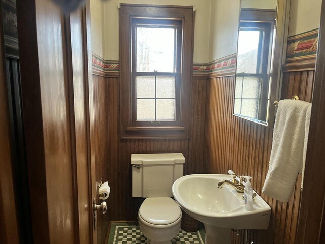 bathroom with a sink, a wainscoted wall, and toilet