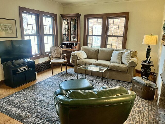 living room featuring wood finished floors and ornamental molding