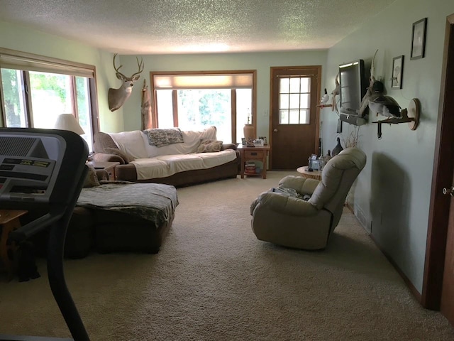 living room featuring a wealth of natural light, carpet floors, and a textured ceiling