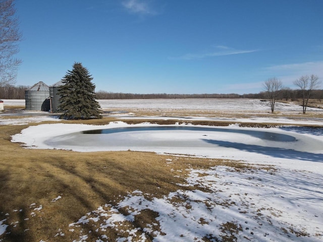 view of yard covered in snow