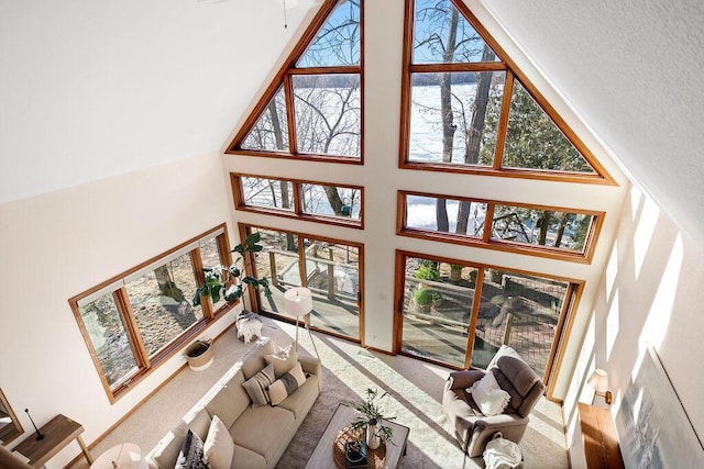 living room featuring carpet and a high ceiling