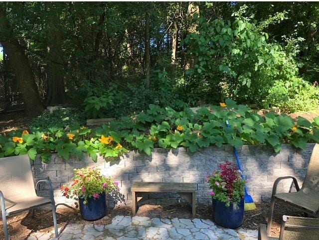 view of patio / terrace with a garden