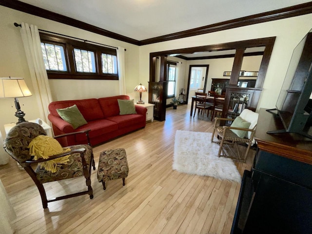 living area with crown molding, a wealth of natural light, and light wood-style floors