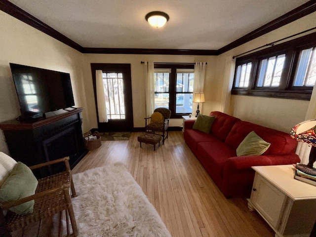 living area with crown molding and light wood-style flooring