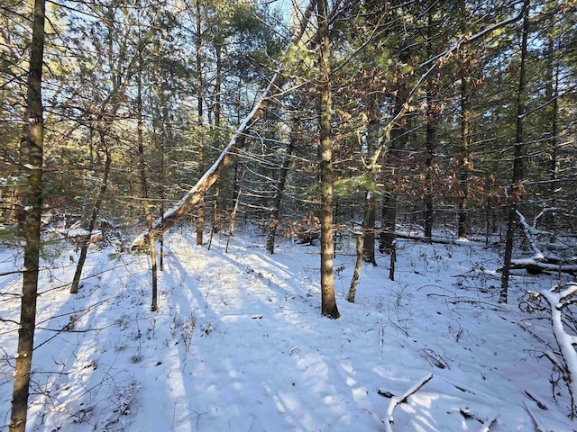 Listing photo 3 for 5Acres Townline L K, Mauston WI 53948