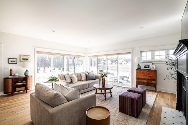 living area featuring a fireplace and light wood finished floors