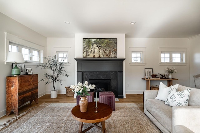 living room featuring a fireplace, a healthy amount of sunlight, and light wood-style floors