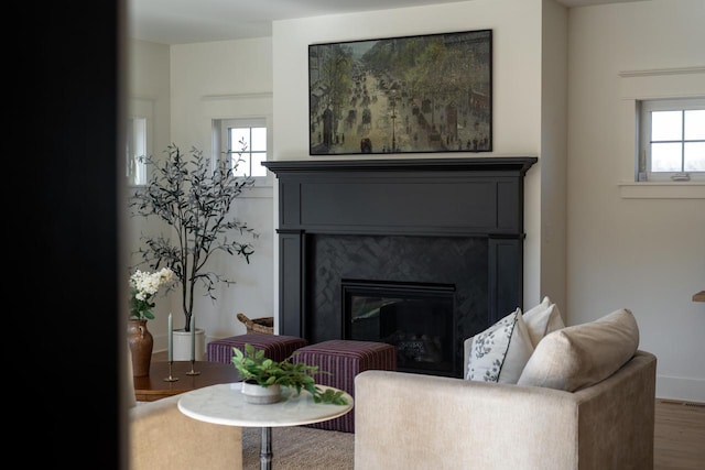 living area with wood finished floors, visible vents, and a premium fireplace