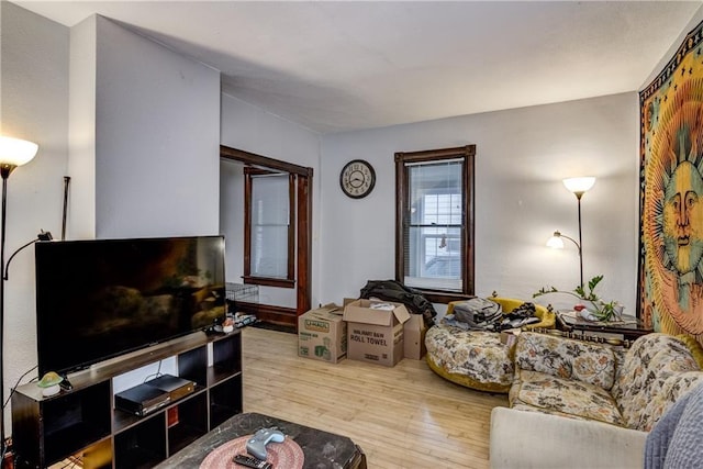 living room featuring wood finished floors