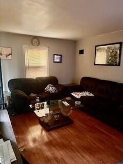 living area featuring wood finished floors