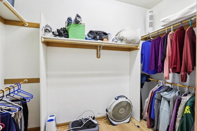 walk in closet featuring wood finished floors