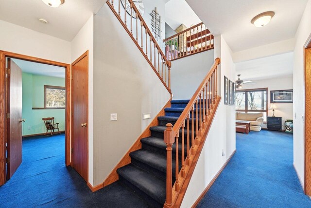 stairs featuring baseboards, a ceiling fan, and carpet flooring