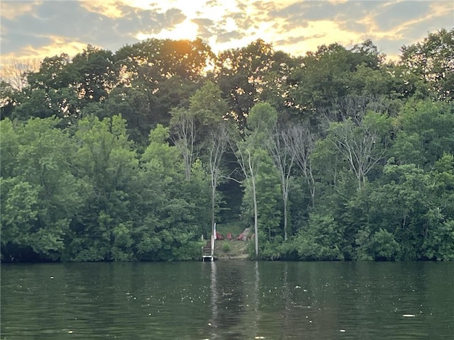 water view with a forest view