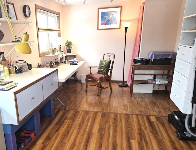 office featuring dark wood finished floors