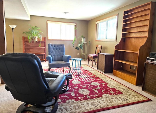 living area featuring carpet floors and a wealth of natural light