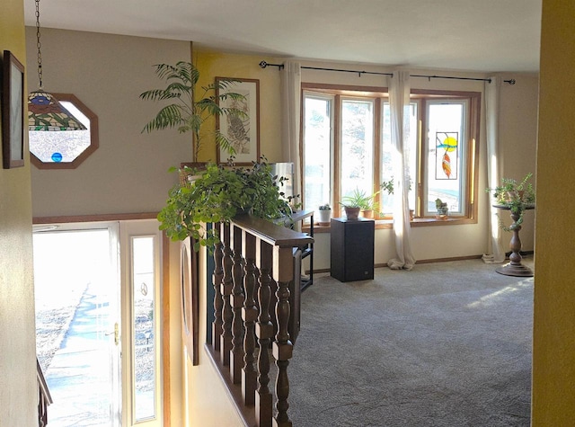 interior space featuring carpet and baseboards