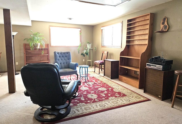 sitting room featuring carpet floors