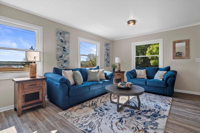 living room featuring crown molding, baseboards, and wood finished floors