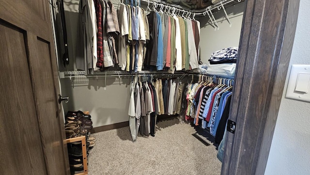 spacious closet featuring carpet floors