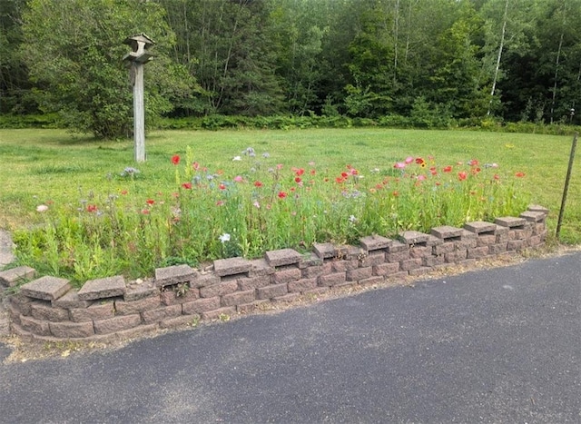 14091 W County Highway B, Hayward, WI 54843 - view of yard