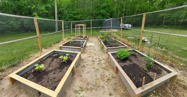 14091 W County Highway B, Hayward, WI 54843 - view of yard featuring a vegetable garden, an outdoor structure, and fence