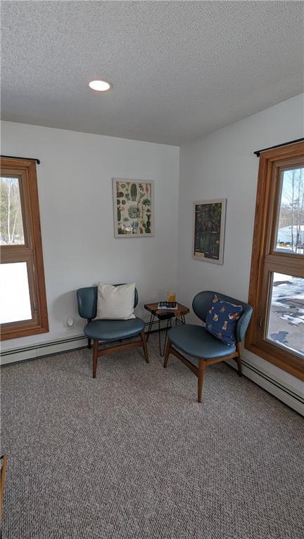 14091 W County Highway B, Hayward, WI 54843 - living area featuring carpet floors, a baseboard heating unit, and a textured ceiling