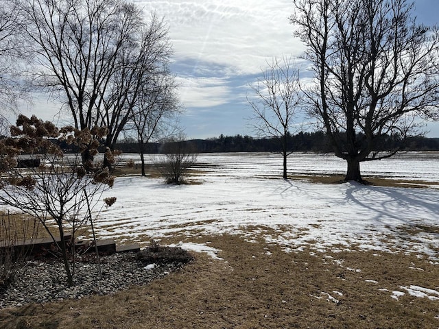 view of yard layered in snow