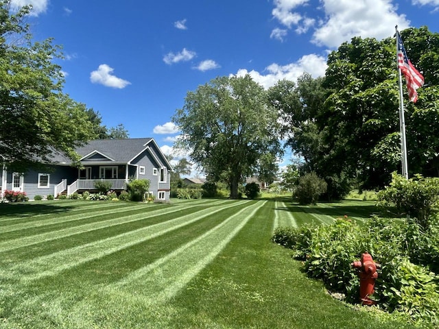 view of yard