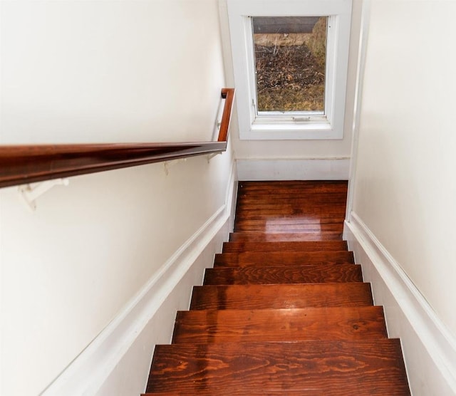 staircase featuring wood finished floors