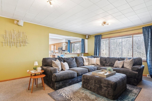 living area with carpet and baseboards