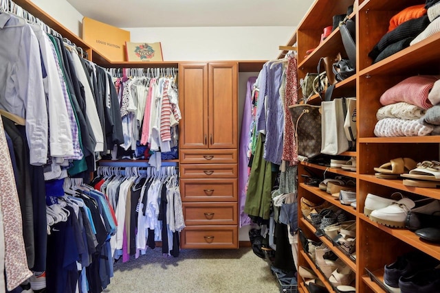 walk in closet with light colored carpet