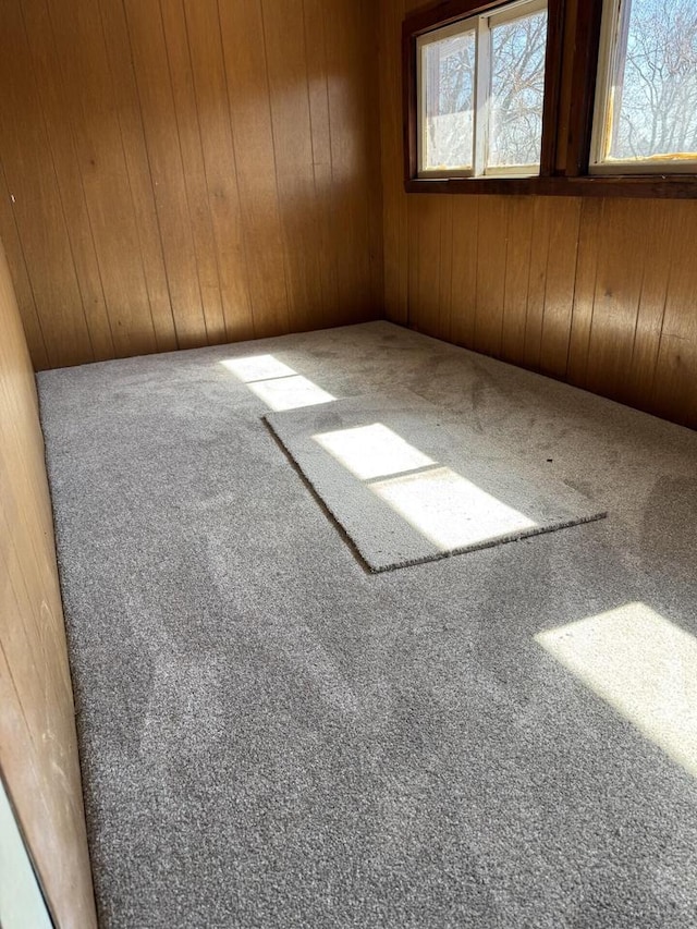 carpeted empty room with wood walls