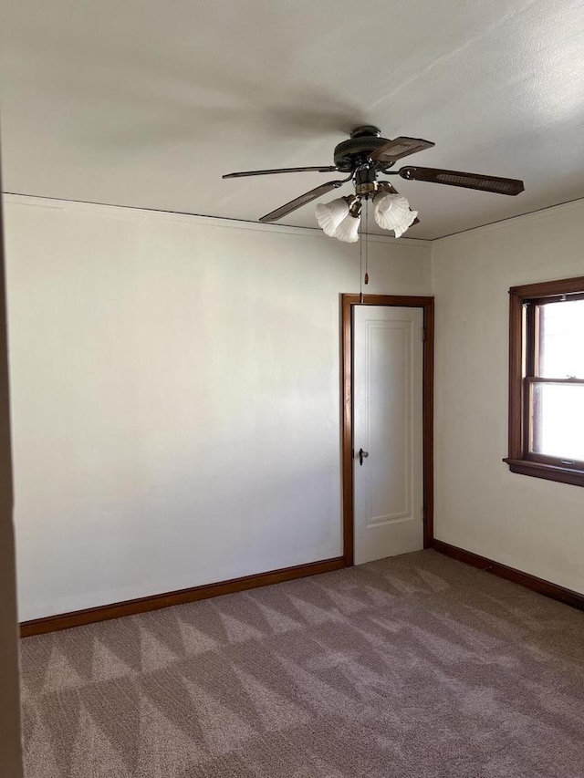 empty room featuring carpet, baseboards, and a ceiling fan