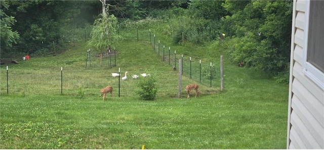 view of yard with fence and a rural view