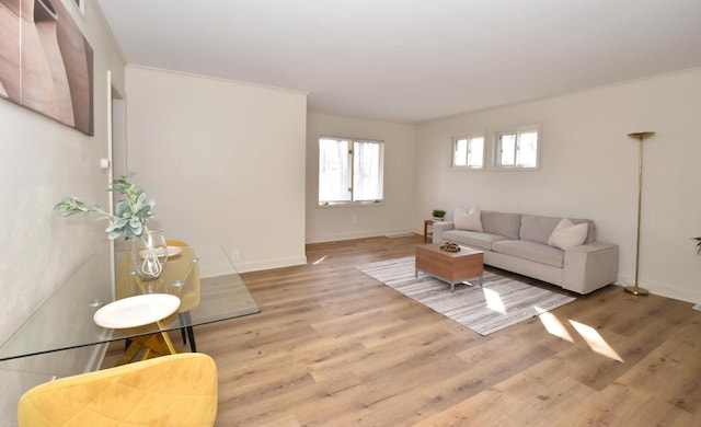 living area featuring baseboards and wood finished floors