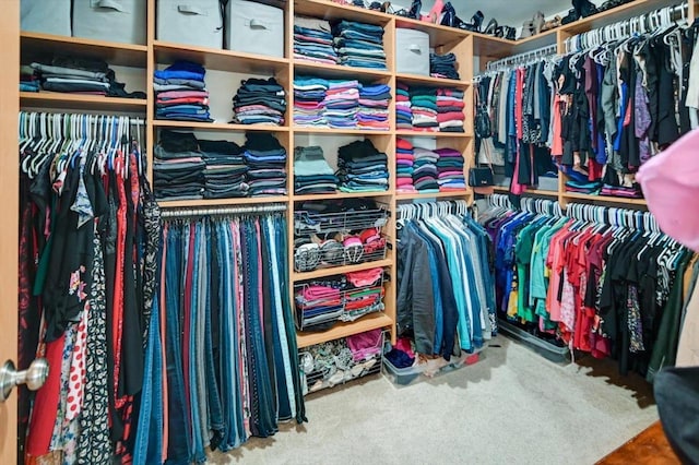 spacious closet featuring carpet flooring