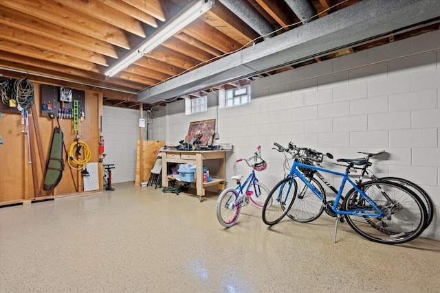 basement with concrete block wall