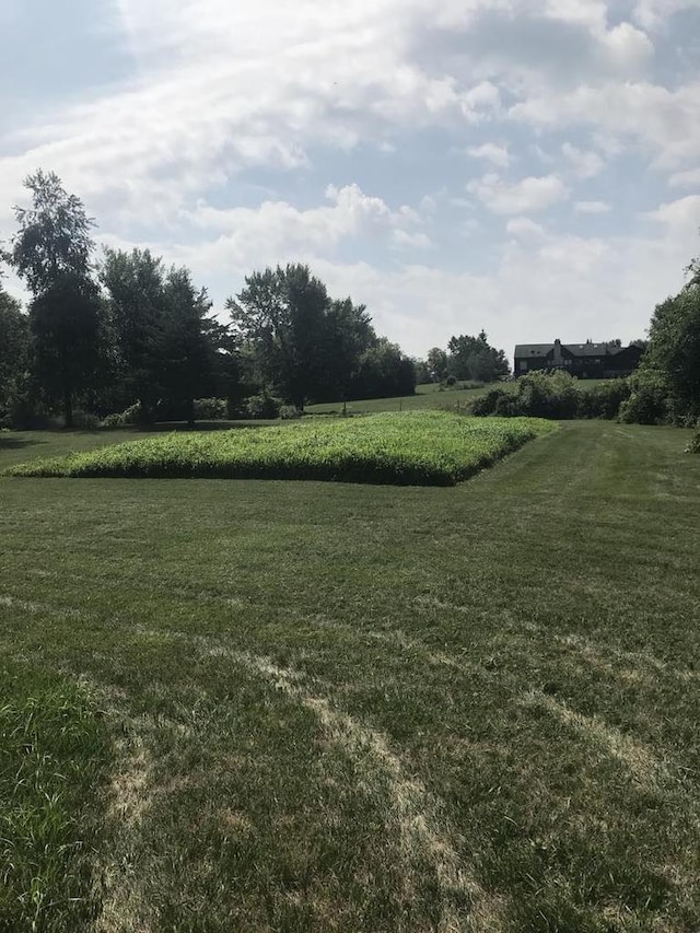 view of yard with a rural view