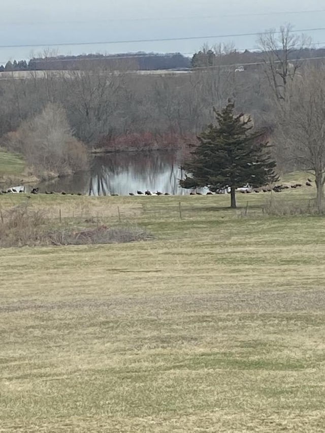 view of yard featuring a water view