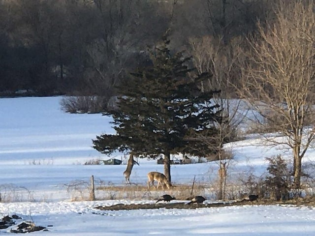 view of yard covered in snow