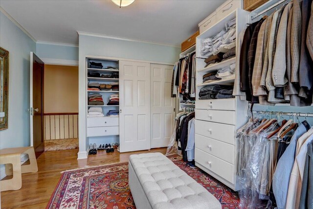 walk in closet featuring wood finished floors