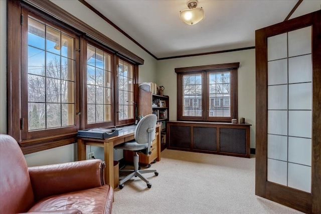 home office with carpet floors and crown molding