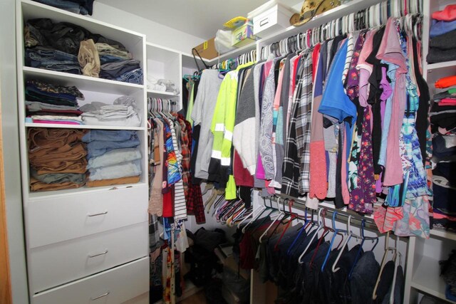 view of walk in closet