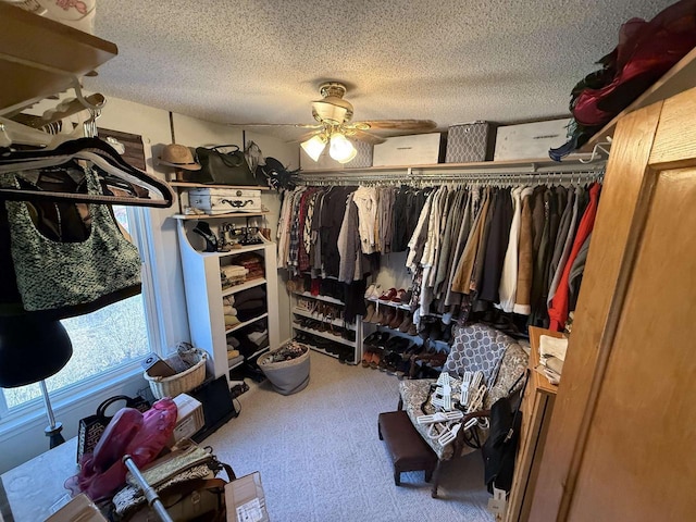 walk in closet with carpet and ceiling fan